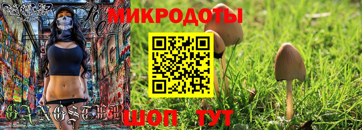 Псилоцибиновые грибы GOLDEN TEACHER Сыктывкар