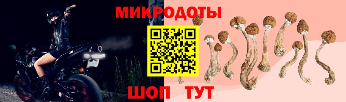 Сыктывкар  Псилоцибиновые грибы мицелий  Вход с VPN 